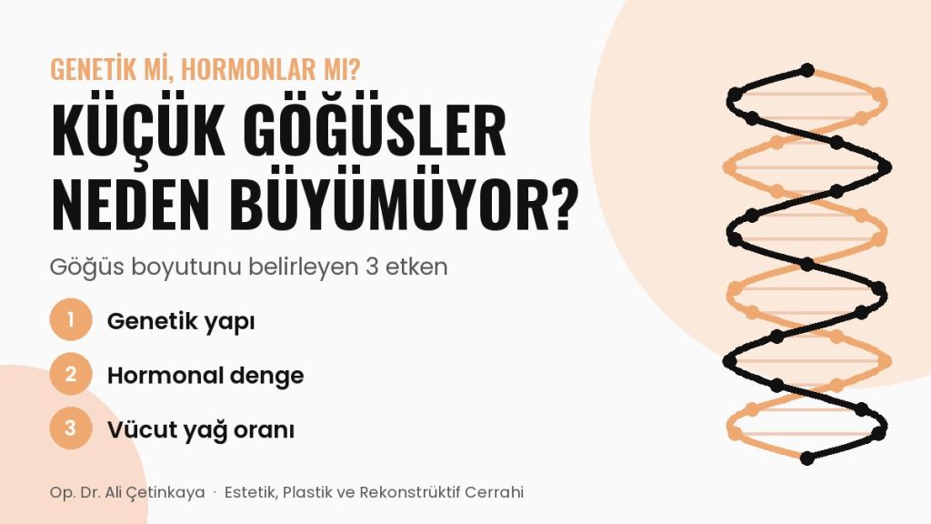 Küçük göğüslerin neden büyümediğini anlatan bilgi kartı: genetik yapı, hormonal denge ve vücut yağ oranı